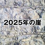 2025年の崖 – DXを推進しない企業の転落する未来